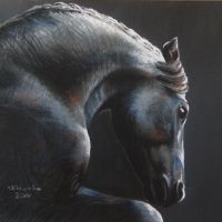 Friesian horse, pastel, 50x60 cm, based on the photo made by Małgorzata Mąkosa